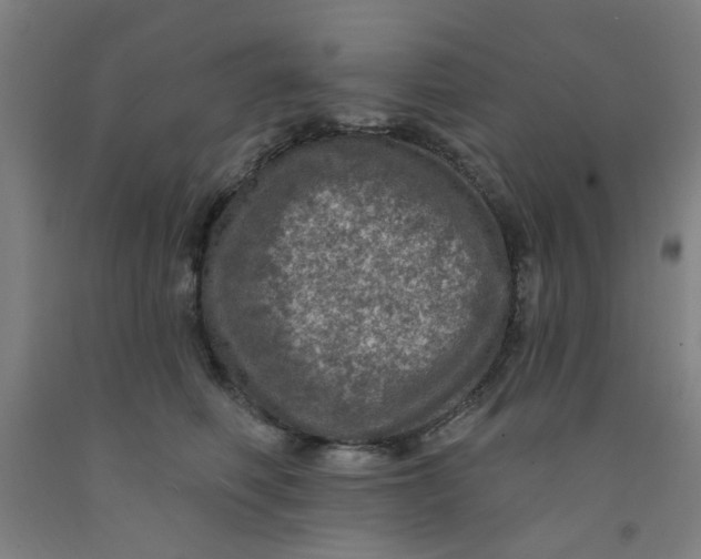 X0000091950614200709271327