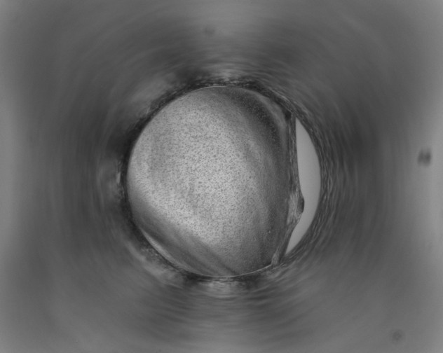 X0000091950615200709271327