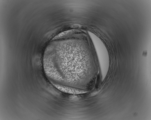 X0000091950616200709271327