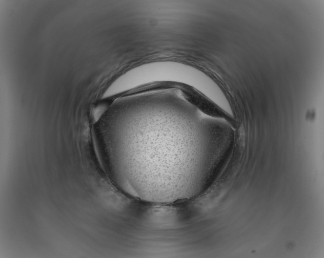 X0000091950617200709271327