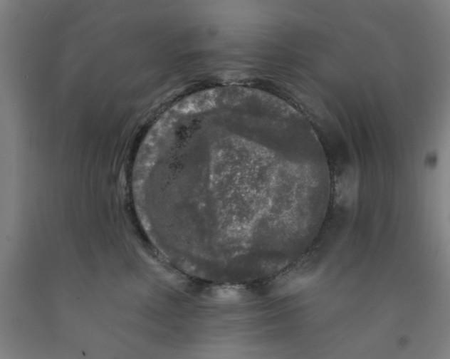 X0000091950618200709271327