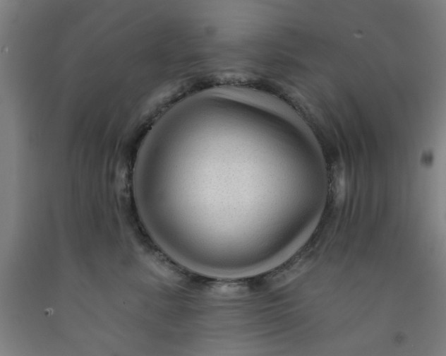 X0000091950619200709271327