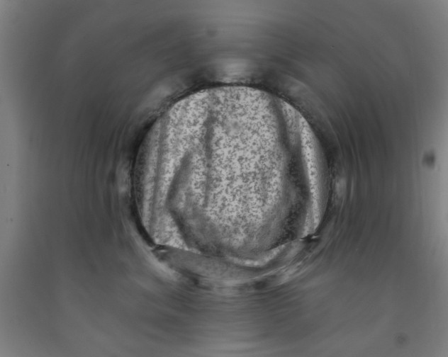 X0000091950620200709271327