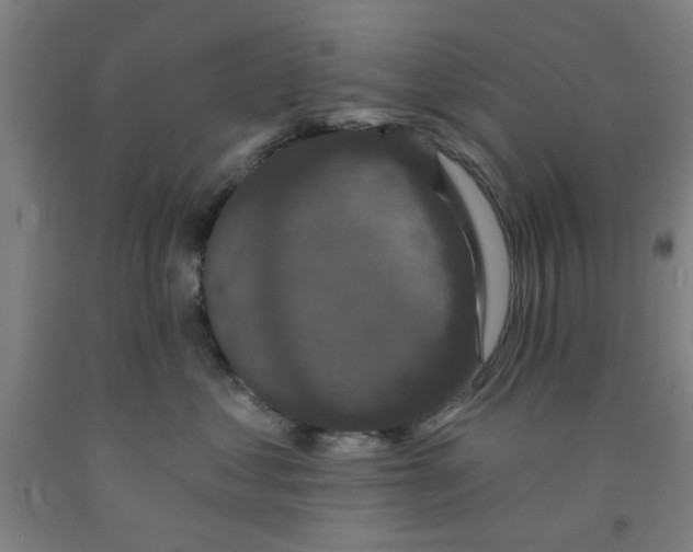 X0000091950621200709271327