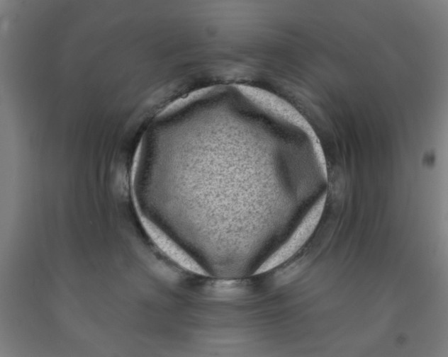 X0000091950622200709271327