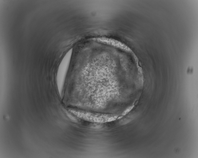 X0000091950624200709271327