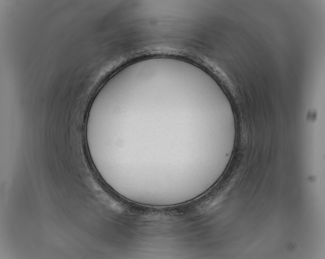 X0000091950625200709271326