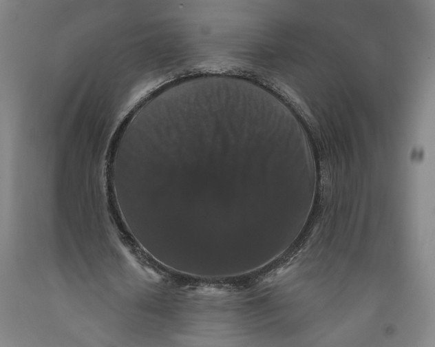 X0000091950626200709271326