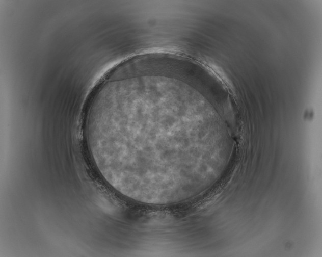 X0000091950628200709271326