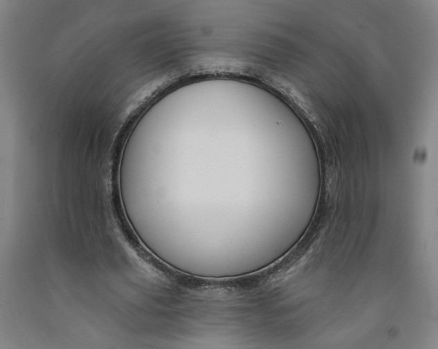 X0000091950629200709271326