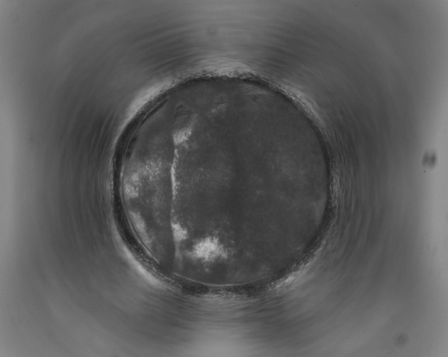 X0000091950630200709271326