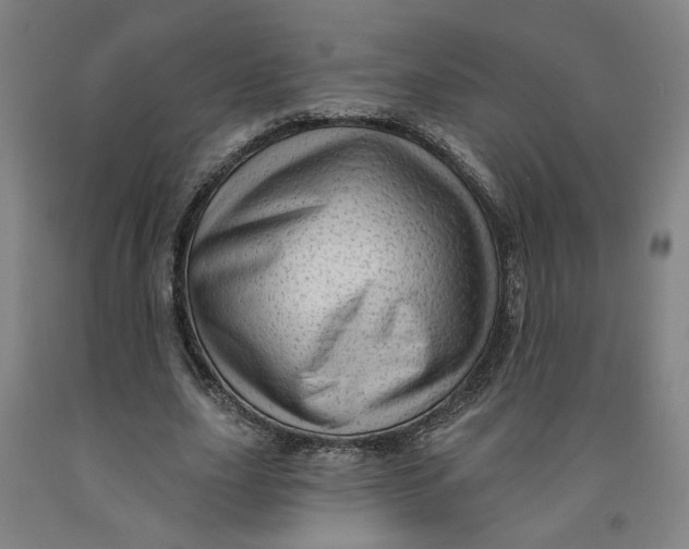 X0000091950631200709271326