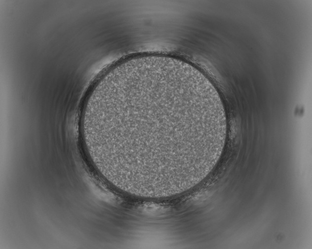 X0000091950632200709271326