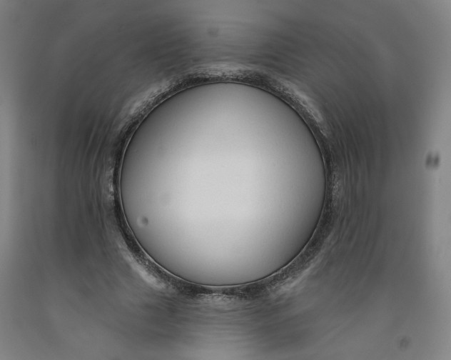 X0000091950633200709271326