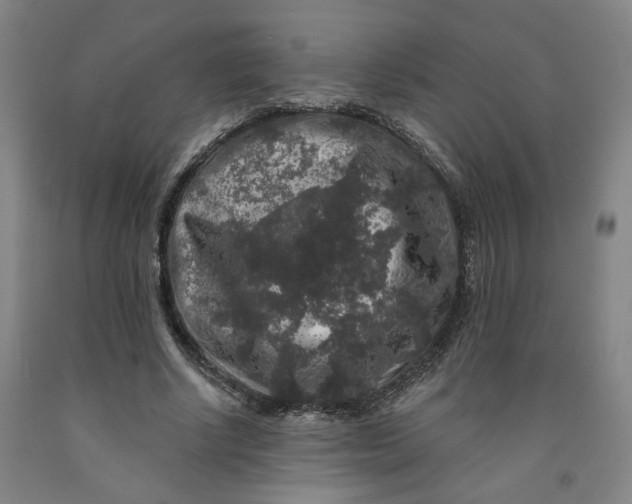 X0000091950634200709271326