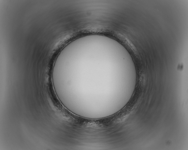 X0000091950635200709271326