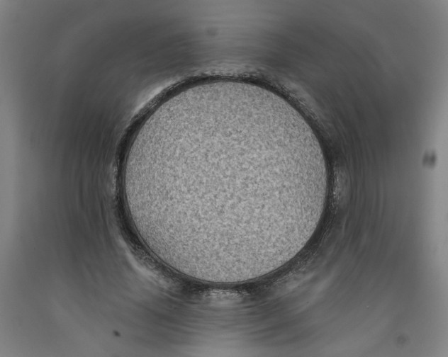 X0000091950636200709271326