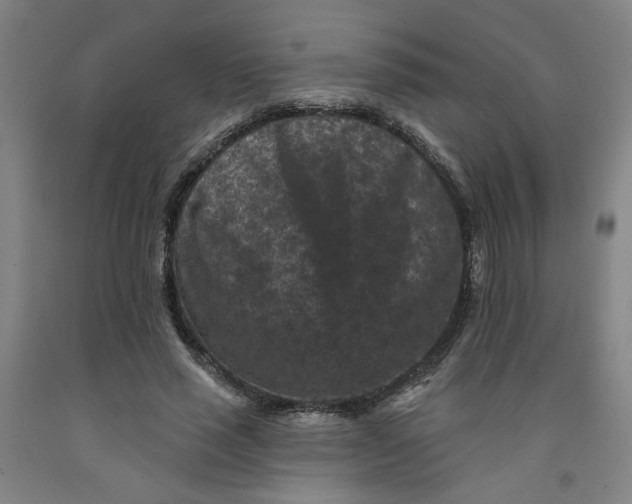 X0000091950637200709271326