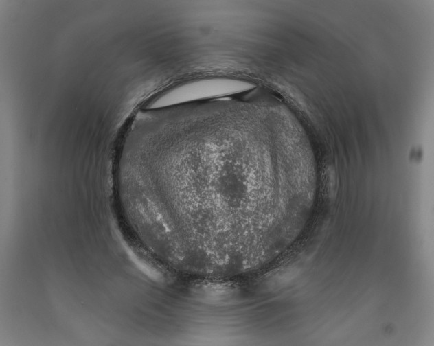 X0000091950638200709271326