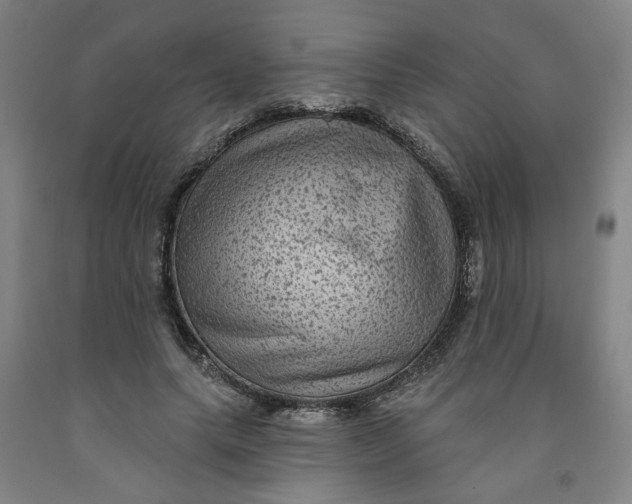 X0000091950639200709271327