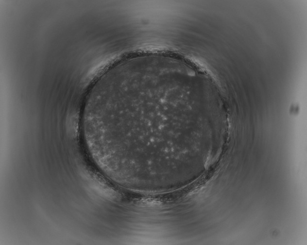 X0000091950640200709271327