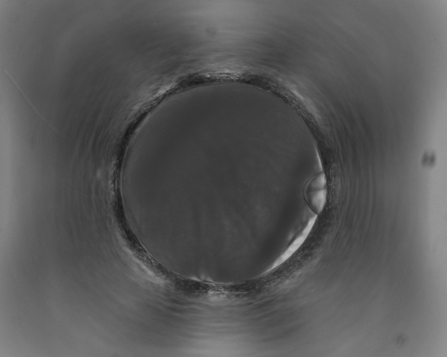 X0000091950641200709271327