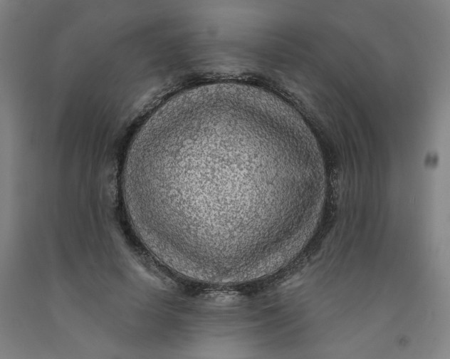 X0000091950642200709271327