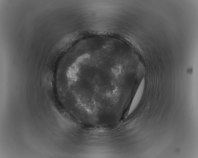 X0000091950643200709271327