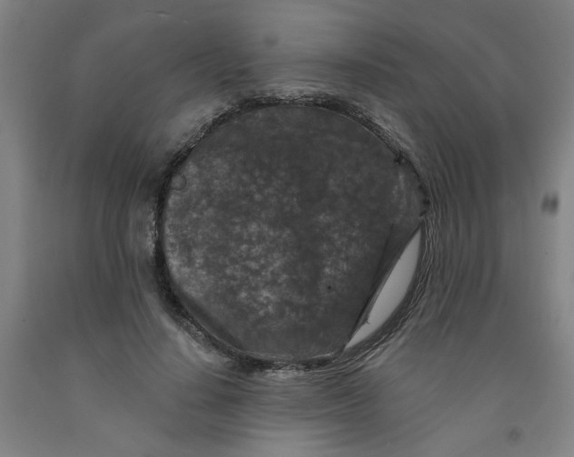 X0000091950644200709271327