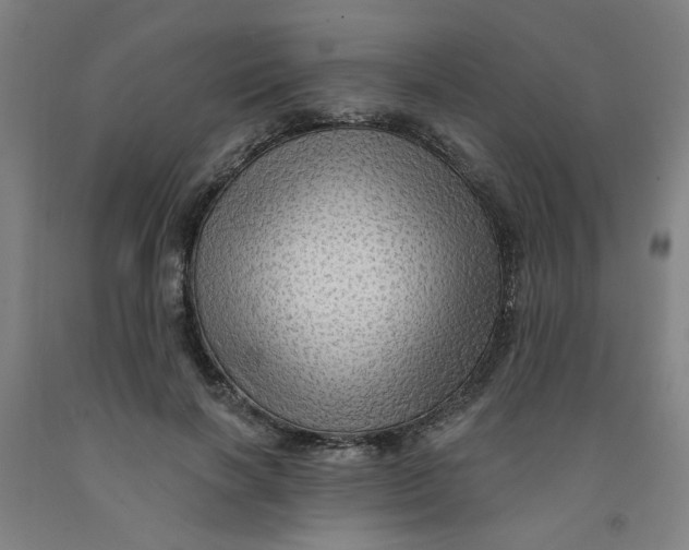 X0000091950646200709271327