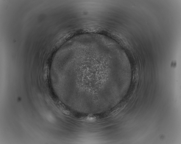 X0000091950647200709271327