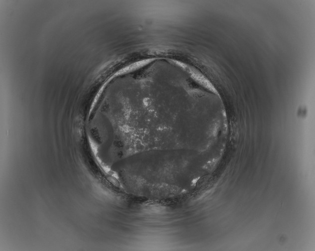 X0000091950648200709271327