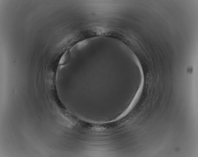 X0000091950650200709271327