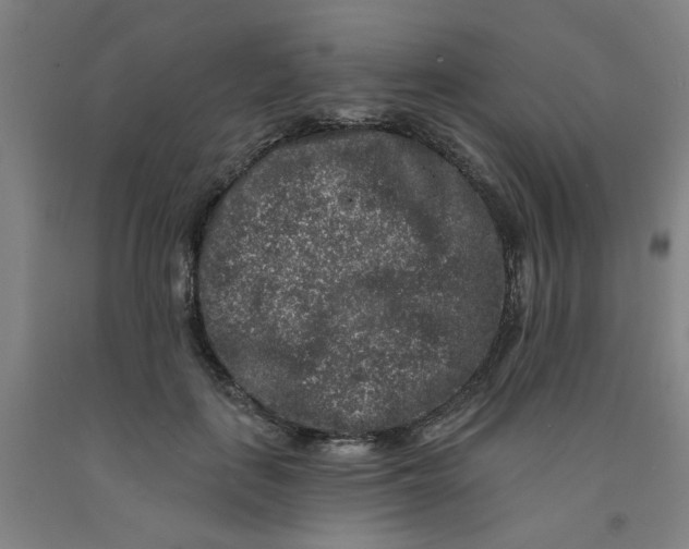 X0000091950651200709271327