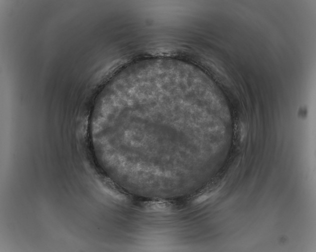 X0000091950652200709271327