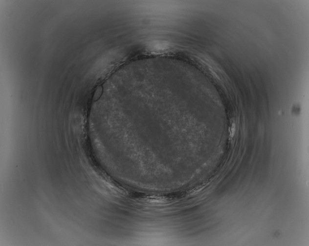 X0000091950653200709271327