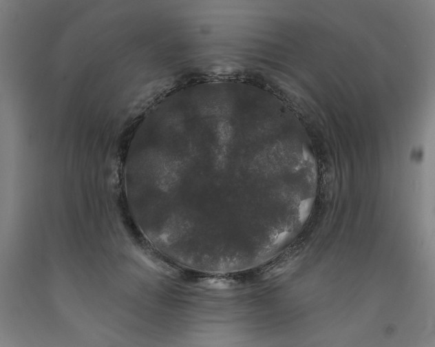 X0000091950654200709271327