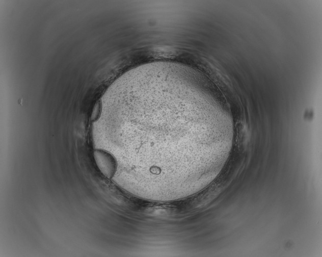 X0000091950655200709271327