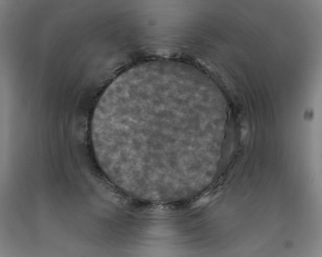 X0000091950656200709271327