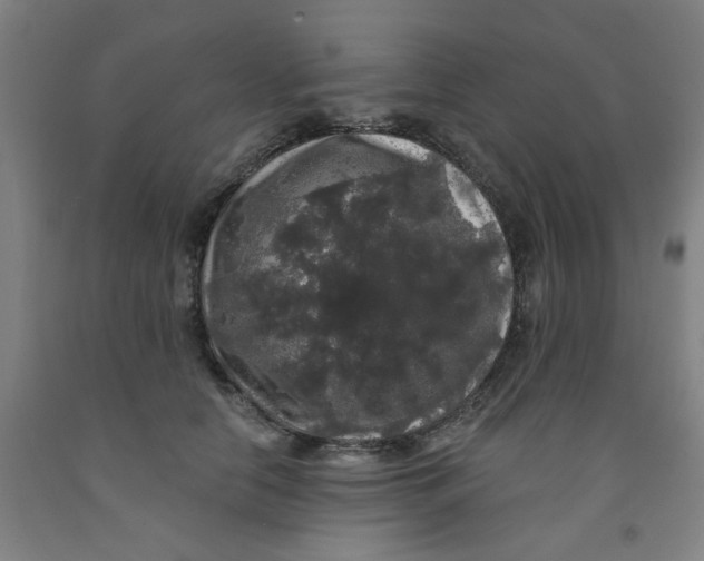 X0000091950658200709271327