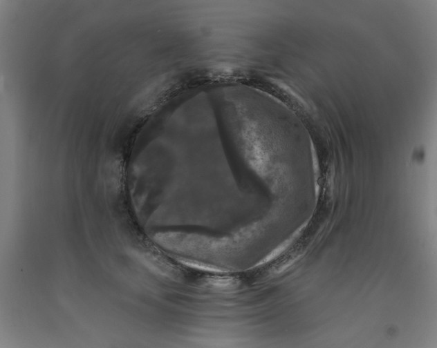 X0000091950659200709271327