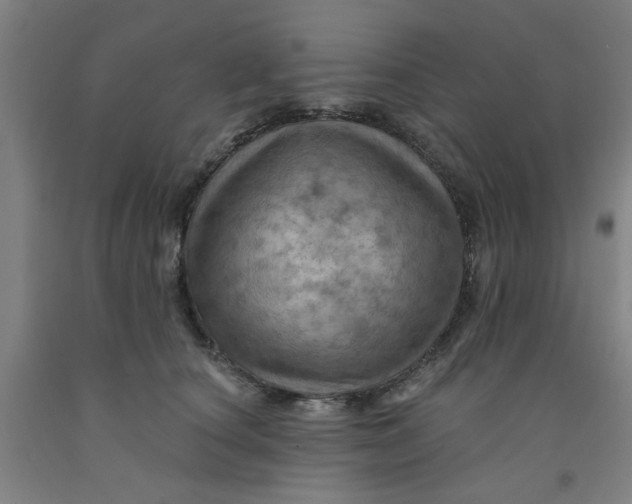 X0000091950660200709271327