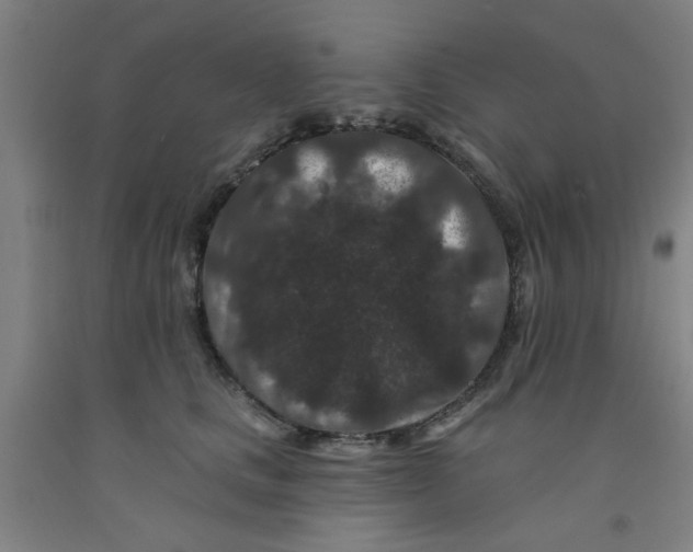 X0000091950661200709271327