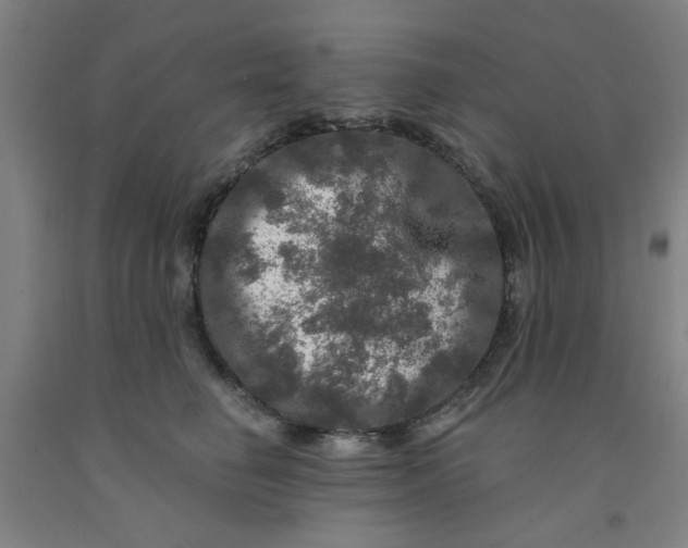 X0000091950662200709271327