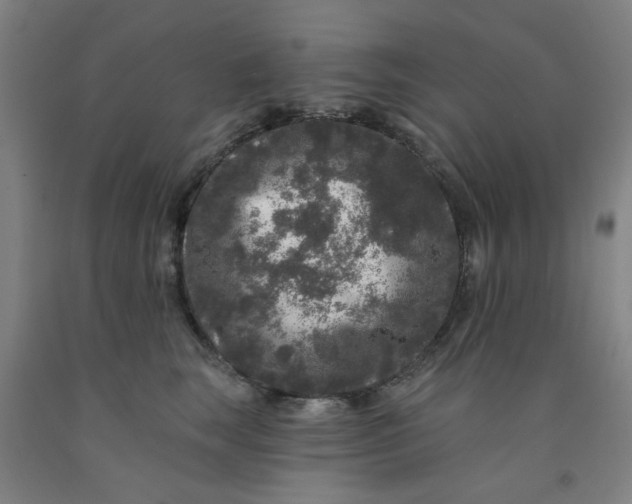 X0000091950663200709271327