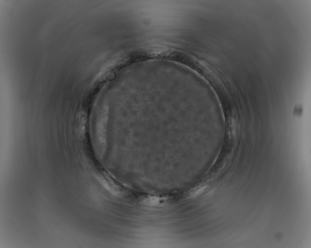 X0000091950664200709271327