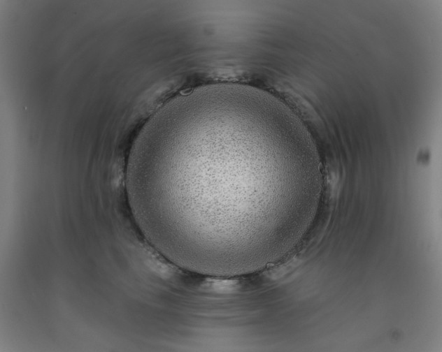 X0000091950665200709271327