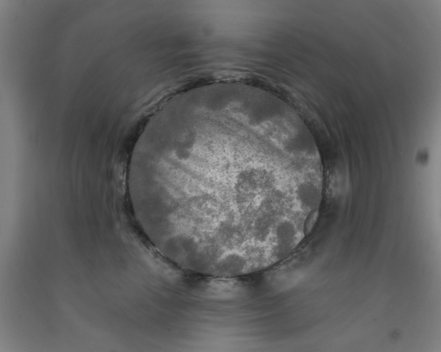 X0000091950666200709271327