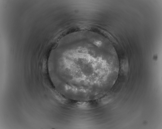 X0000091950667200709271327