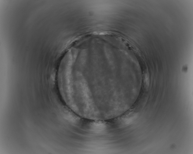 X0000091950668200709271327